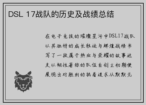 DSL 17战队的历史及战绩总结